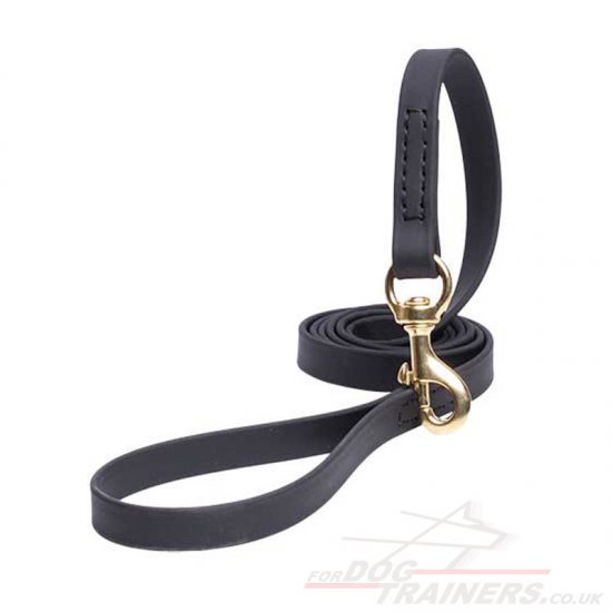 Black Biothane Dog Lead with Handle and Brass Snap Hook