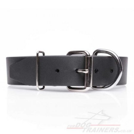 Advanced Biothane Waterproof Dog Collar with Buckle Closure