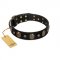 "Pirate's Spell" FDT Artisan Stylish Black Leather Dog Collar With Studs