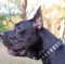 Handmade Dog Collar for Great Dane | Large Dog Collar UK