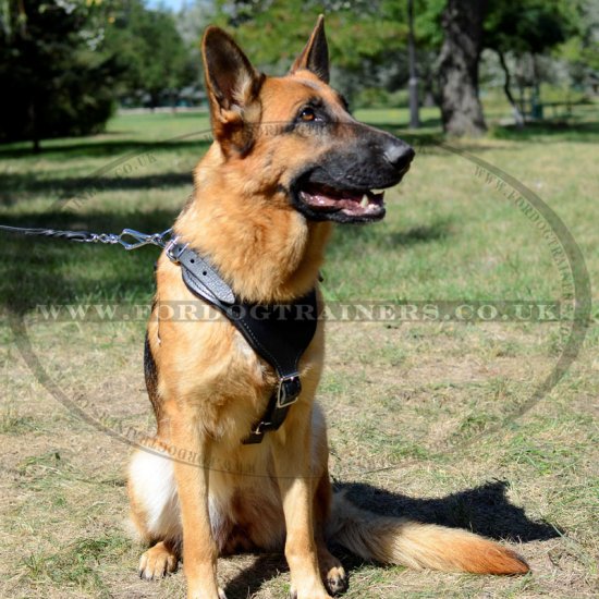 German Shepherd Dog Harness with V-Shaped Chest