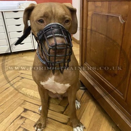 Universal Dog Muzzle for Pitbull with Rubber Covering
