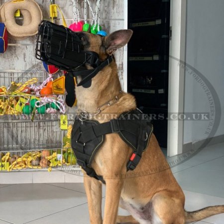 Dog Belgian Malinois Harness | Dog Harness with Handle for Sale