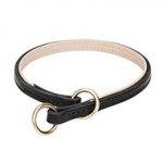 Soft Nappa Padded Leather Choke Dog Collar