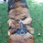 Large Leather Dog Harness UK Bestseller K9 Padded_3
