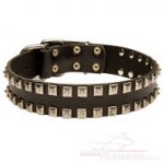 Caterpillar Dog Collar | Dog Leather Collar With Studs