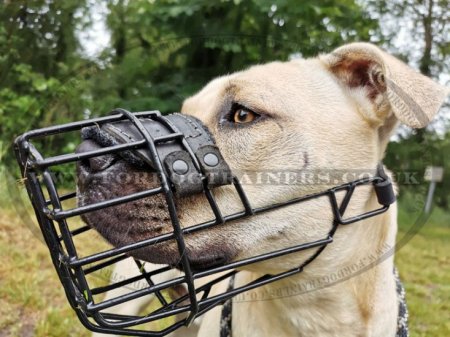 Universal Dog Muzzle for Pitbull with Rubber Covering