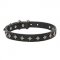 Cool Star-Studded Dog Collar for Dog Walking