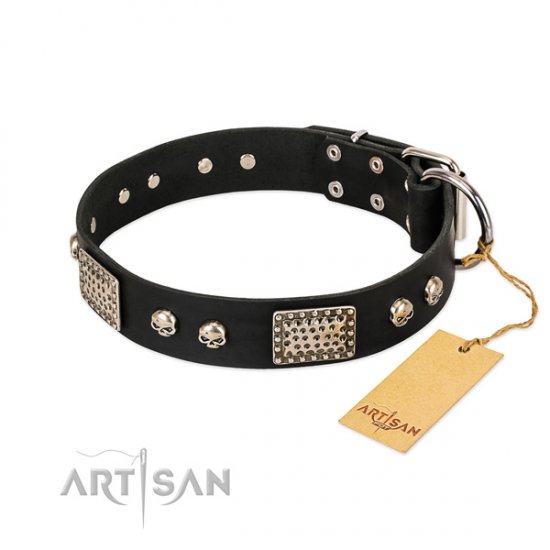 Brave Dog Collar Designs with Skulls "Pirates Gold" FDT Artisan