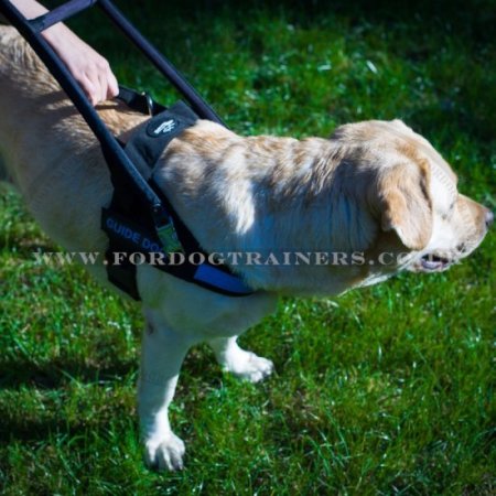 Assistance Dog Harness with Handle for Labrador Guide Dog