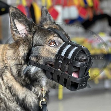 Leather German Shepherd Muzzle Size UK Bestseller