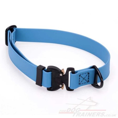 1 Inch Cobra Buckle Dog Collar Biothane