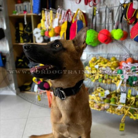 NEW! Best K9 Police Dog Collar with Handle and Cobra Buckle