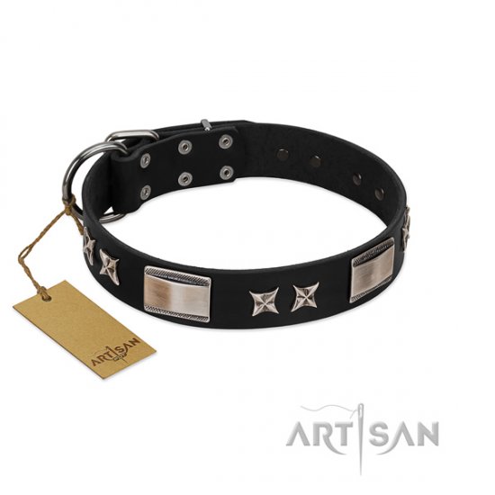 Black Leather Dog Collar Studded with Plates & Stars FDT Artisan