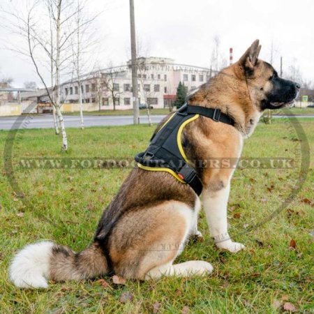 NEW! Soft Padded Nylon Dog Chest Harness with Handle Yellow