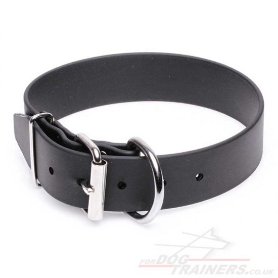 Advanced Biothane Waterproof Dog Collar with Buckle Closure