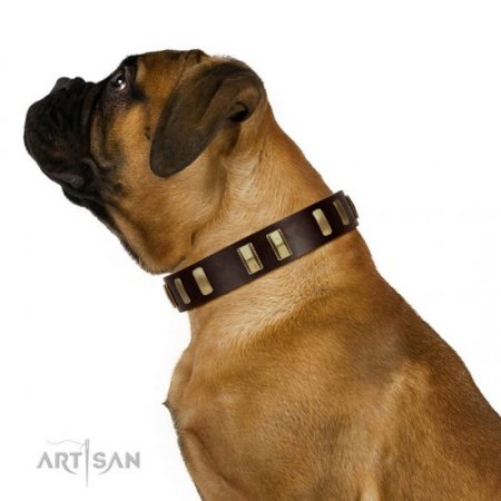 "Peace and Harmony" FDT Artisan Brown Leather Collar for Big Dogs with Brass Plates