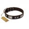 Designer Dark Brown Leather Dog Collar FDT Artisan