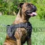 Simply Perfect Boxer Harness with Padded Chest Plate and Handle