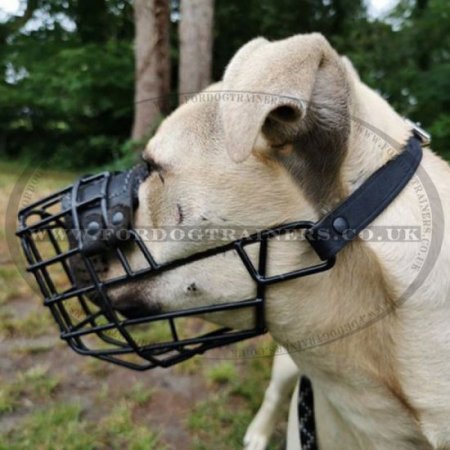 Eat and Drink Black Wire Dog Muzzle for Winter & Summer Allows Panting