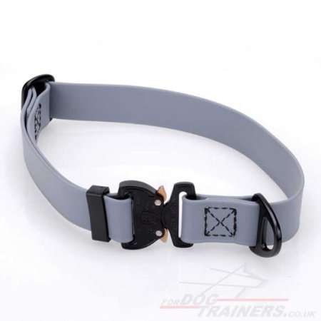 1 Inch Cobra Buckle Dog Collar Biothane