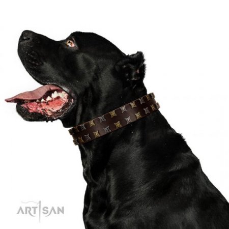 "Fido’s Pleasure" Fantastic Brown Leather Dog Collar With Studs FDT Artisan