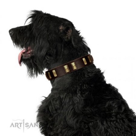 "Peace and Harmony" FDT Artisan Brown Leather Collar for Big Dogs with Brass Plates