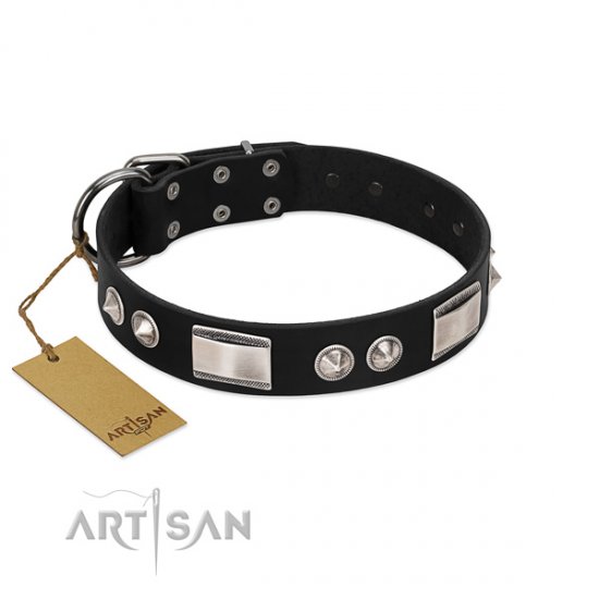 Artisan Dog Collar Designer Brands with Brilliant Finery