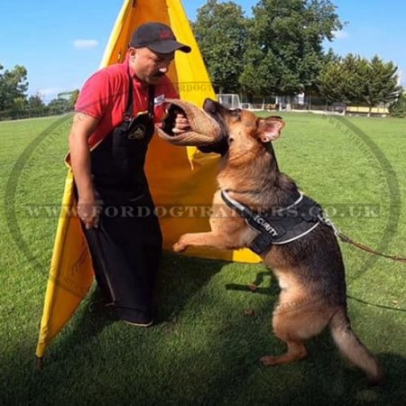 Dog Trainer's Apron Made of Leather for Dog Training