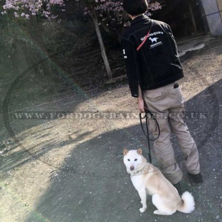 Leather Dog Walking Leash with Steel Carabiner