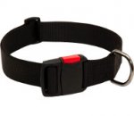 Strong Nylon Collar for Dogs with Quick Release