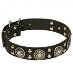 NEW Design Dog Collars with Silver-Like Medals and Blue Stones