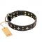Beautiful Dog Collar "A La Mode" FDT Artisan with Bronze Stars