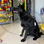K9 Dog Harness No Pull Front Clip to Stop Dog Pulling on Lead_24