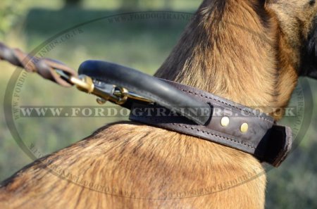 K9 Belgian Malinois Training Collar with Handle 2 Ply Leather