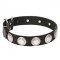Antique Studded Dog Collars for Large Dogs "Moonlight"