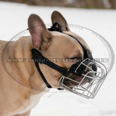 The Best French Bulldog Muzzle UK for Flat Nosed Dogs