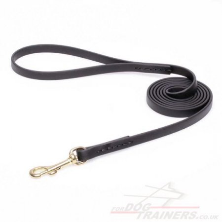 New Super Durable Black Biothane Dog Leash with Handle