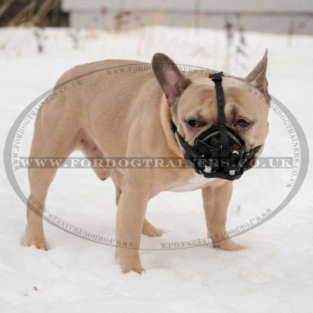 French Bulldog Soft Muzzle for Flat Nose Dog Made of Leather
