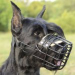 Muzzles for Dogs UK Bestsellers! Perfect for Wet and Cold