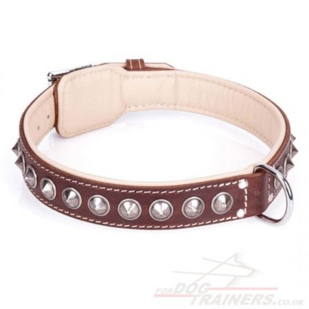 "Cone" Fabulous Brown Leather Dog Collar UK With Shiny Decorations