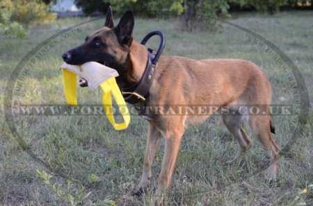 Dog Training Bite Tug of Fire Hose With Two Handles