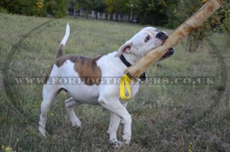 Dog bite tug made of leather 23 inch with 2 handles, UK