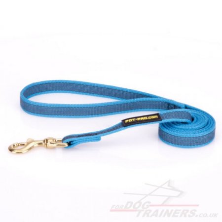 Modish Nylon Dog Training Lead For Dog's Daily Activities 0.8" Width