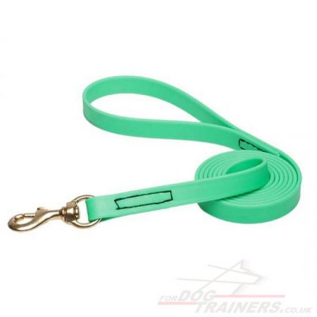 NEW! Green Dog Lead Super Strong Biothane