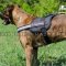 New Reflexive Nylon Dog Harness for Boxer Dog Training
