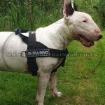 K9 Dog Harness No Pull Front Clip to Stop Dog Pulling on Lead_14