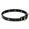 Genuine Leather Dog Collar with Brass Flowery Studs