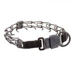 HS Training Dog Collar with Buckle Made in Germany (2.25 mm)
