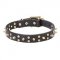 Beautiful Dog Collar 'Star Way' with Golden Studs and Spikes
